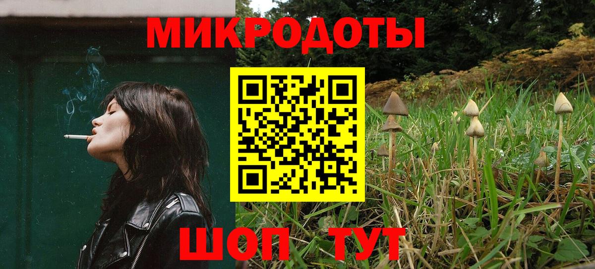 Тайшет  Псилоцибиновые грибы Magic Shrooms  Галлюциногенные грибы Psilocybe  Вход с VPN 
